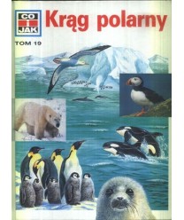 Krąg polarny