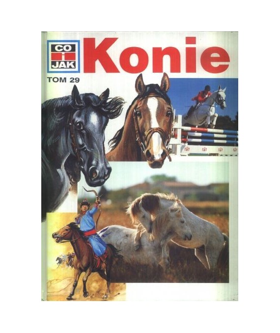Konie