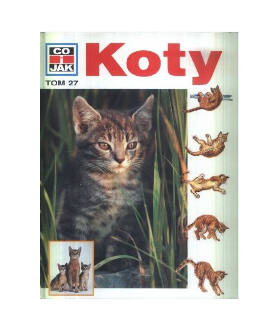 Koty