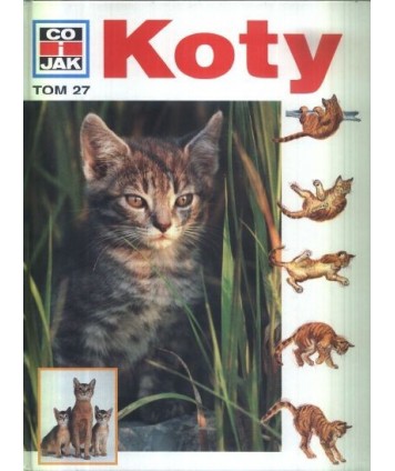 Koty