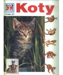 Koty