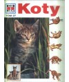 Koty