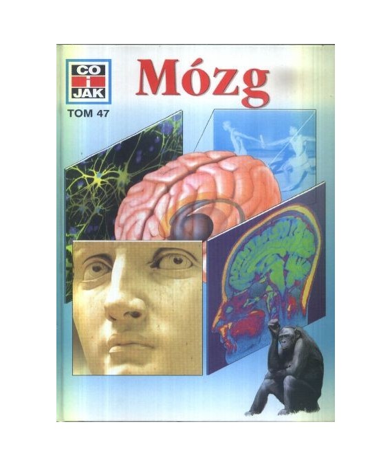 Mózg