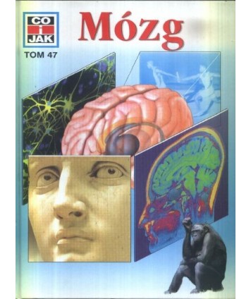 Mózg