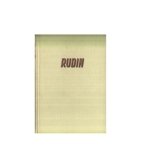 Rudin powieść