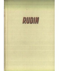 Rudin powieść