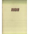 Rudin powieść