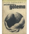 Poszukiwanie Golema. O cybernetyce i cybernetykach