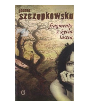 Fragmenty z życia lustra