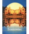 Sosnowiec