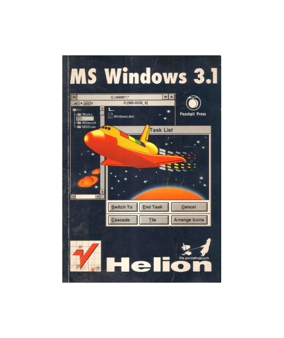 Windows 3.1