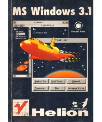Windows 3.1