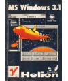 Windows 3.1