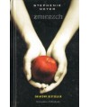 Zmierzch