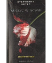 Księżyc w nowiu