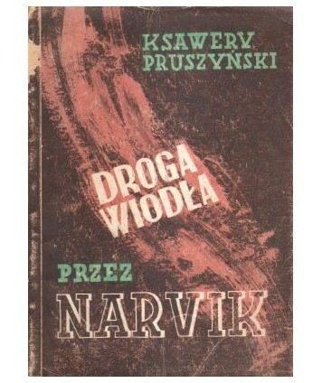 Droga wiodła przez Narvik. Powieść