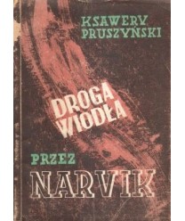 Droga wiodła przez Narvik. Powieść