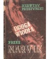Droga wiodła przez Narvik. Powieść