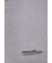 Flota Białego Orła