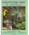 Egzotyczne ryby w akwarium Pielęgnacja ryb..
