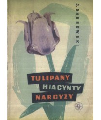 Tulipany, hiacynty, narcyzy