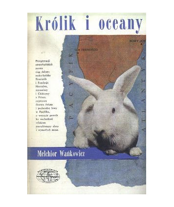Królik i oceany