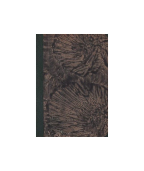 O wolność i godność. Powieść współczesna