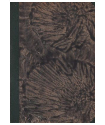 O wolność i godność. Powieść współczesna