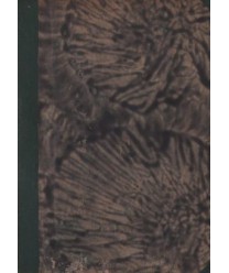 O wolność i godność. Powieść współczesna