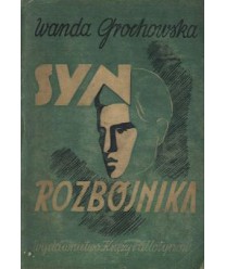 Syn rozbójnika. Powieść