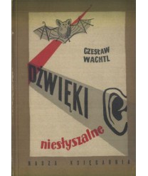 Dźwięki niesłyszalne