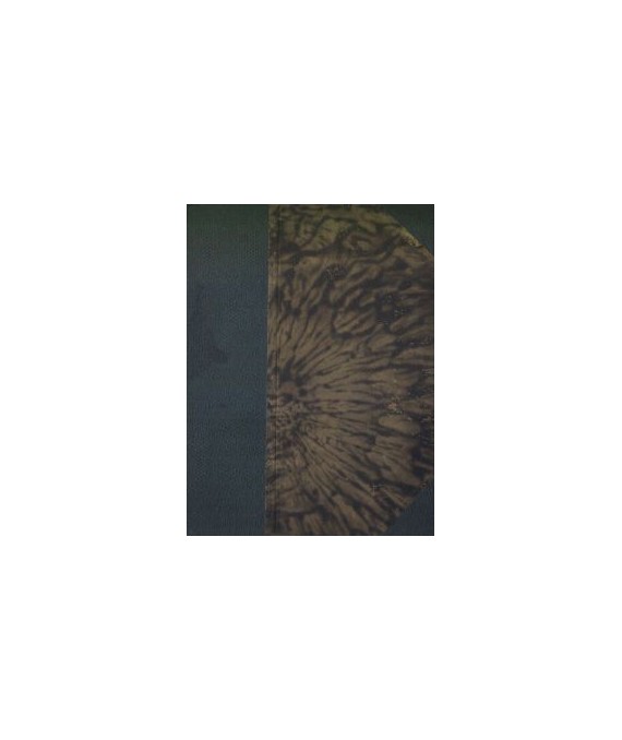 Pieśń Rowu (Nerantsula). Powieść