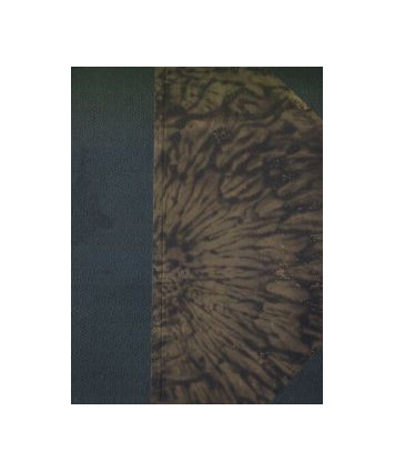 Pieśń Rowu (Nerantsula). Powieść