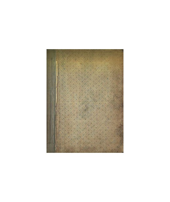 Róża polna. Nowele i fantazje