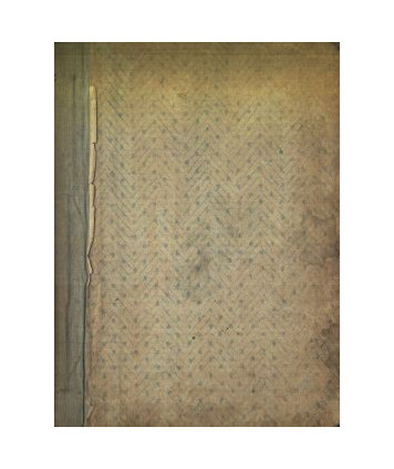 Róża polna. Nowele i fantazje