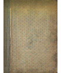 Róża polna. Nowele i fantazje