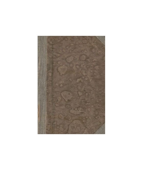 Krótkie dzieje Śląska w wiekach średnich, do 1526 roku