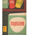 Tropiciele. System pracy drużyn