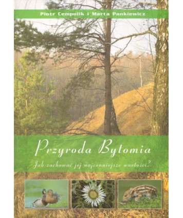 Przyroda Bytomia. Jak zachować jej najcenniejsze wartości?