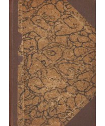 Odszczepieniec i inne nowele