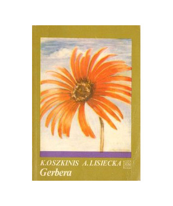 Gerbera