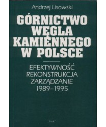Górnictwo węgla kamiennego w Polsce. Efektywność, rekonstrukcja, zarządzanie 1989-1995