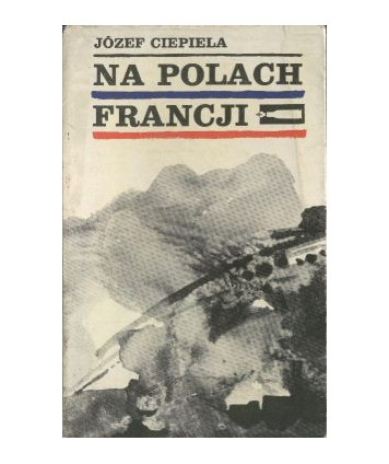 Na polach Francji. Dziennik żołnierza 2 DSP
