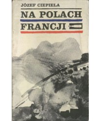 Na polach Francji. Dziennik żołnierza 2 DSP