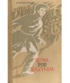 Bitwa pod Raszynem. Powieść historyczna dla młodzieży