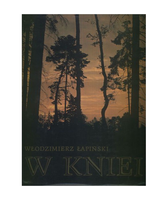 W kniei
