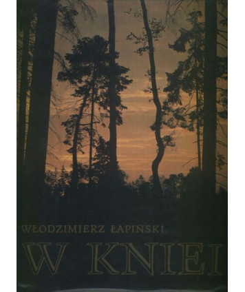 W kniei