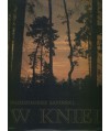 W kniei
