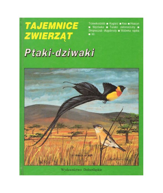 Ptaki-dziwaki