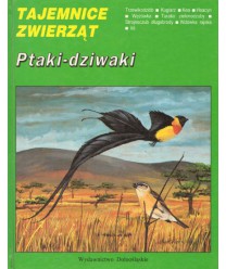 Ptaki-dziwaki